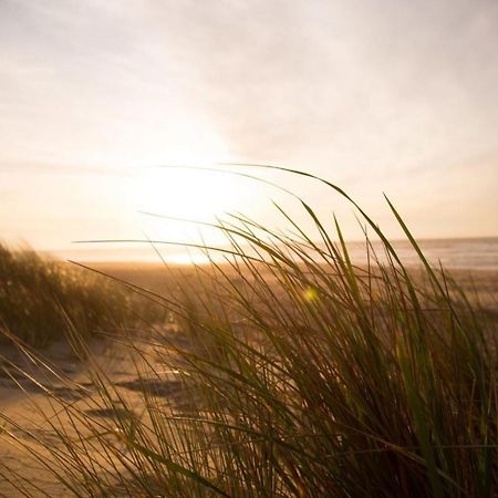 Kleine Nordseewelle Ohne Hund Norden Zewnętrze zdjęcie