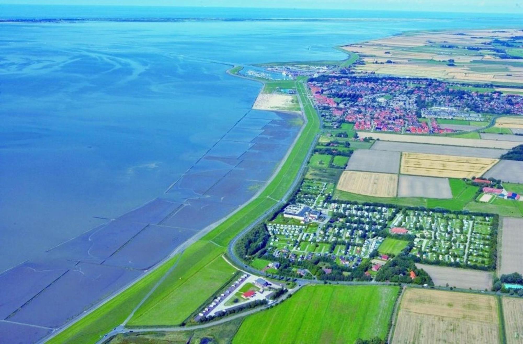Kleine Nordseewelle Ohne Hund Norden Zewnętrze zdjęcie